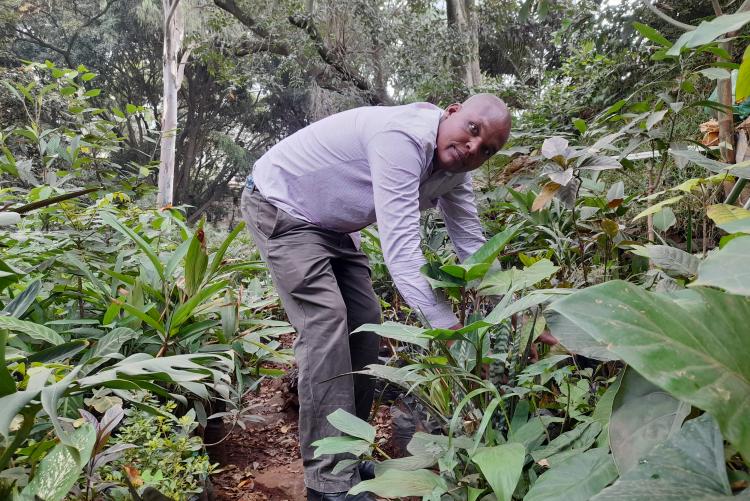 Mr. Leonard Bett Kiprono Conserving the environment by planting trees