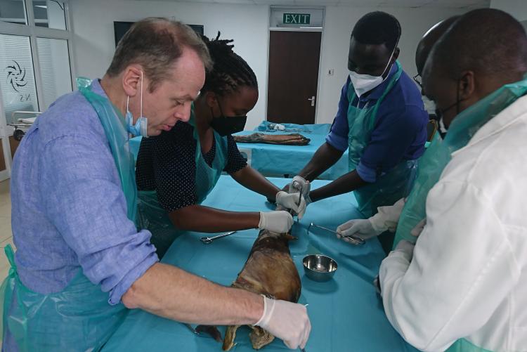 SURGEONS IN A TRAINING AT THE NAIROBI SURGICAL SKILLS CENTER - UON IN PROGRESS