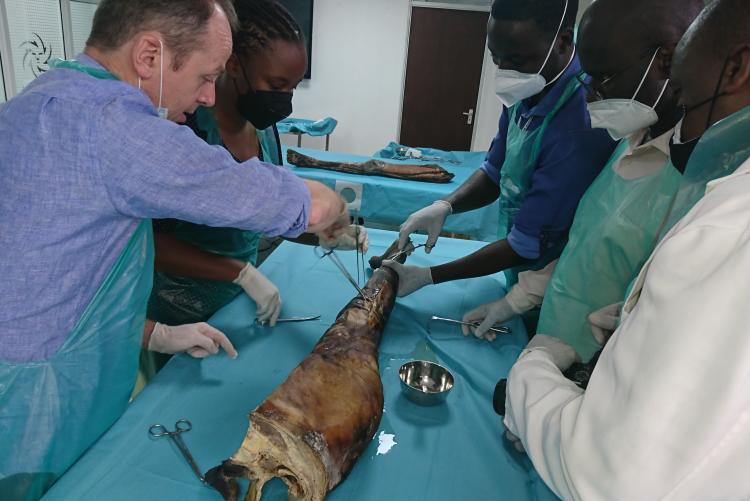 SURGEONS IN A TRAINING AT THE NAIROBI SURGICAL SKILLS CENTER - UON IN PROGRESS