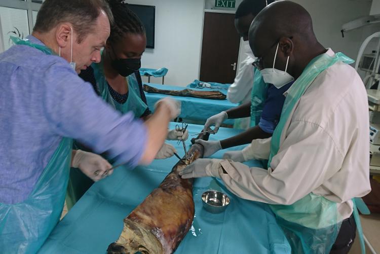 SURGEONS IN A TRAINING AT THE NAIROBI SURGICAL SKILLS CENTER - UON IN PROGRESS