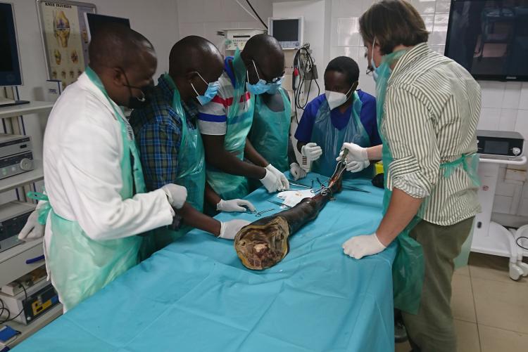 SURGEONS IN A TRAINING AT THE NAIROBI SURGICAL SKILLS CENTER - UON IN PROGRESS