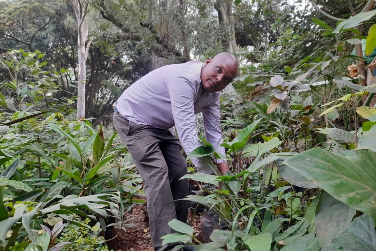 Mr. Leonard Bett Kiprono Conserving the environment by planting trees