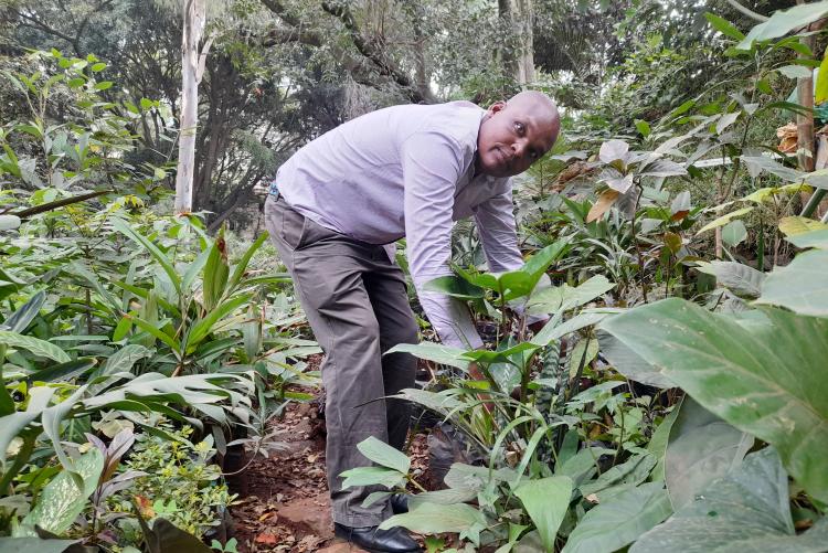 Mr. Leonard Bett Kiprono Conserving the environment by planting trees