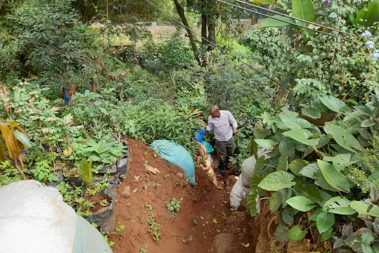 Mr. Leonard Bett Kiprono Conserving the environment by planting trees