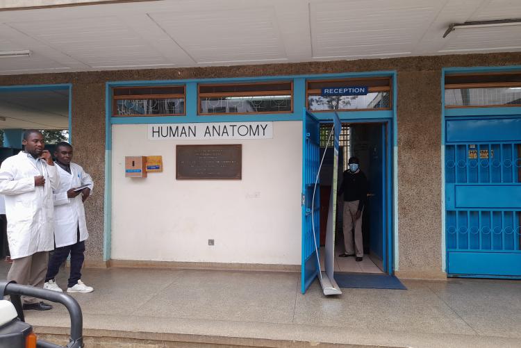 HUMAN ANATOMY AND PHYSIOLOGY OFFICE